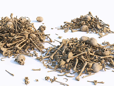 Pile of Human Skeletal Remains Including Limb Bones and Skulls 3d model