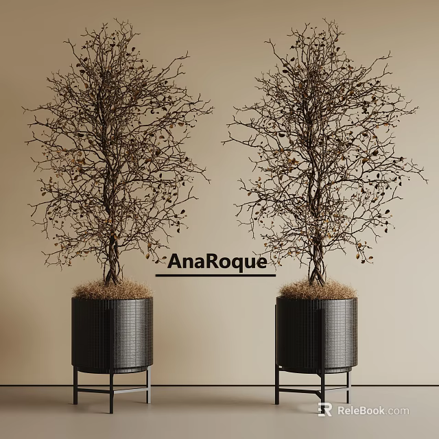 Two Bonsai Trees In Black Metal Grid Texture Pots With Beige Background 3d model
