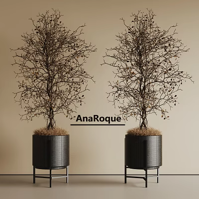 Two Bonsai Trees In Black Metal Grid Texture Pots With Beige Background 3d model
