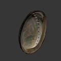 Iridescent Seashell Food Serving Dish With Shiny Surface And Decorative Design