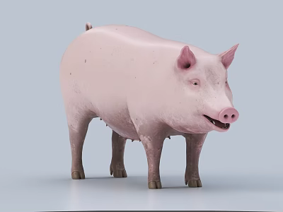 Pink Reptile Standing On Plain White Background With Smooth Scaly Skin 3d model