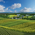 Scenic Vast Fields View With Yellow Green Crops Distant Houses Mountains White Clouds Blue Sky