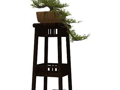 Elegant Bonsai Plant with Green Foliage Placed on Wooden Stand with Brown Pot 3d model