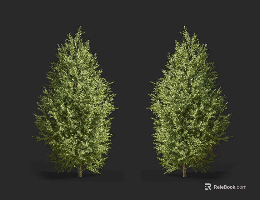 Two Evergreen Landscape Shrubs With Lush Green Foliage For Garden Decoration Healthy Specimens 3d model 