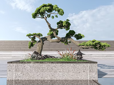Artistic Bonsai Arbor With Curved Trunk Lush Green Foliage In Stone Square Planter 3d model
