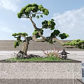 Artistic Bonsai Arbor With Curved Trunk Lush Green Foliage In Stone Square Planter