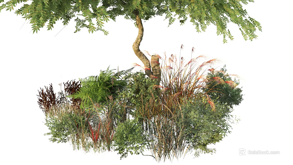 Lush Garden Shrubs with Ferns Grasses and a Curved Tree in Natural Setting 3d model 