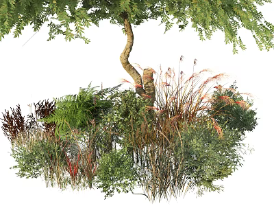 Lush Garden Shrubs with Ferns Grasses and a Curved Tree in Natural Setting 3d model