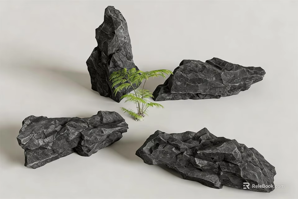 Natural Black Rockery Stones With Small Green Fern Plant For Garden Landscaping 3d model 