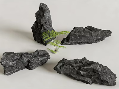 Natural Black Rockery Stones With Small Green Fern Plant For Garden Landscaping 3d model