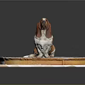 Brown and white Basset Hound sitting on circular platform decorated with gear patterns 3d model