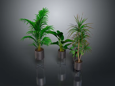 Various Green Indoor Plants In Metal Stand Pots For Modern Home Decor 3d model
