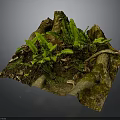 Wooden Stone Decorative Display with Green Ferns and Fallen Leaves in Natural Style