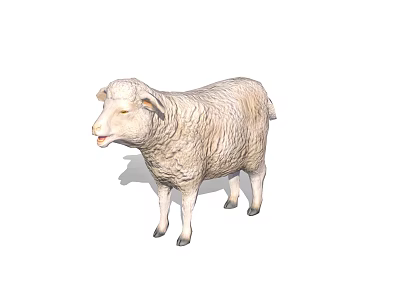 Fluffy White Sheep Figurine With Soft Wool Standing On White Background 3d model