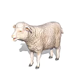Fluffy White Sheep Figurine With Soft Wool Standing On White Background 3d model