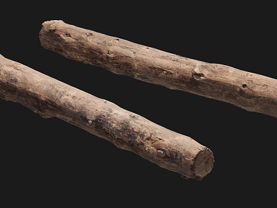 Natural Wood Logs With Textured Surface And Knots On Black Background 3d model