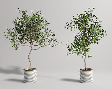 Modern potted plant potted landscape tree combination 3d model