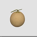 Fresh Netted Melon With Beige Skin And Green Stem On Dark Background
