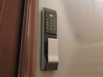 Modern intelligent door lock model