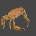Game Movie Character 3D Model Brown Crab With Large Claws And Textured Shell