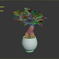 Indoor Decorative Plant with Lush Green Leaves in White Ceramic Pot for Home Decoration