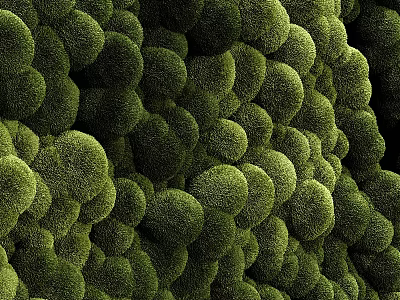 Lush Vertical Living Plant Wall With Dense Green Foliage And Natural Texture Design 3d model