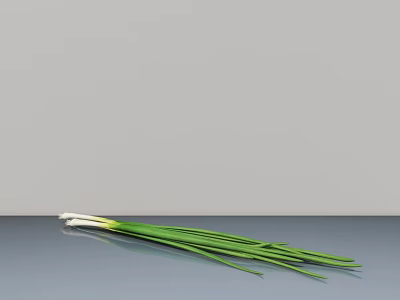 Elegant Modern Tableware Set With Fresh Green Onion For Kitchen Dining 3d model