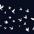 Beautiful Flock of White Pigeons Flying Gracefully in Dark Blue Sky