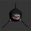 Modern shark great white shark fish 3d model