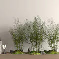 Lush Green Bamboo Plants With Stone Lanterns And Moss On Wooden Floor