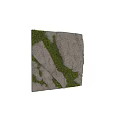 Lush Green Moss Growing On Natural Gray Rocks With Textured Surface