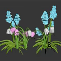 Vibrant Garden Plants with Blue White Pink Flowers and Green Leaves