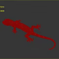 Gecko flying gecko large gecko multiple warts gecko webbed gecko webbed toed gecko reptile 3d model