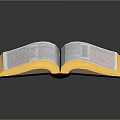 Open Book With Golden Edges And Text Pages On Dark Background