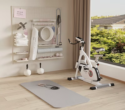 Home Gym Sports Equipment With Stationary Bike Yoga Mat Dumbbells And Yoga Ring 3d model