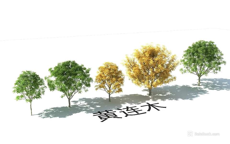 Ornamental Garden Landscape Featuring Pistacia chinensis Trees with Green and Yellow Foliage 3d model 