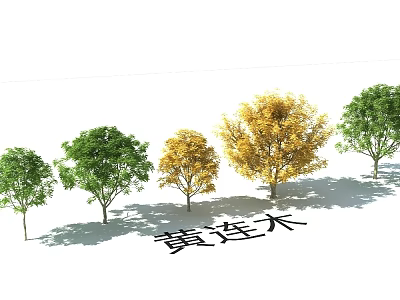 Ornamental Garden Landscape Featuring Pistacia chinensis Trees with Green and Yellow Foliage 3d model
