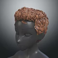 3D Head Model with Brown Curly Hair and Detailed Facial Organs Realistic Texture
