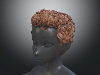 3D Head Model with Brown Curly Hair and Detailed Facial Organs Realistic Texture 3d model