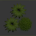 Lush Green Plants Arrangement With Fern And Bush In Gray Concrete Pots