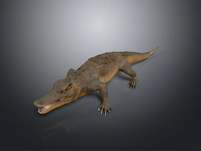 Realistic Reptile Crocodile 3D Model With Open Mouth Scales On Gray Background 3d model