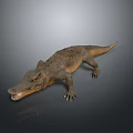 Realistic Reptile Crocodile 3D Model With Open Mouth Scales On Gray Background