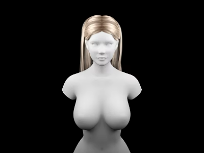 modern wig 3d model