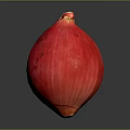 Whole Fresh Red Onion Vibrant Vegetable As Healthy Food Ingredient