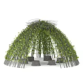 Vine Arch Structure Featuring Branches Green Foliage and Tree Stumps Garden Decor