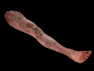 Fictional Monster Character Creature Arm With Scarred Skin Bloodstains And Horror Features 3d model