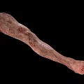 Fictional Monster Character Creature Arm With Scarred Skin Bloodstains And Horror Features