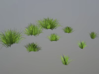 Green Grass Plants of Various Sizes Isolated on Gray Background with Natural Fresh Look 3d model