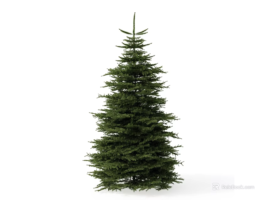 Tall Evergreen Tree With Lush Green Foliage And Conical Shape 3d model 