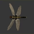 Detailed Decorative Dragonfly Model With Transparent Wings Red Head And Black Yellow Body